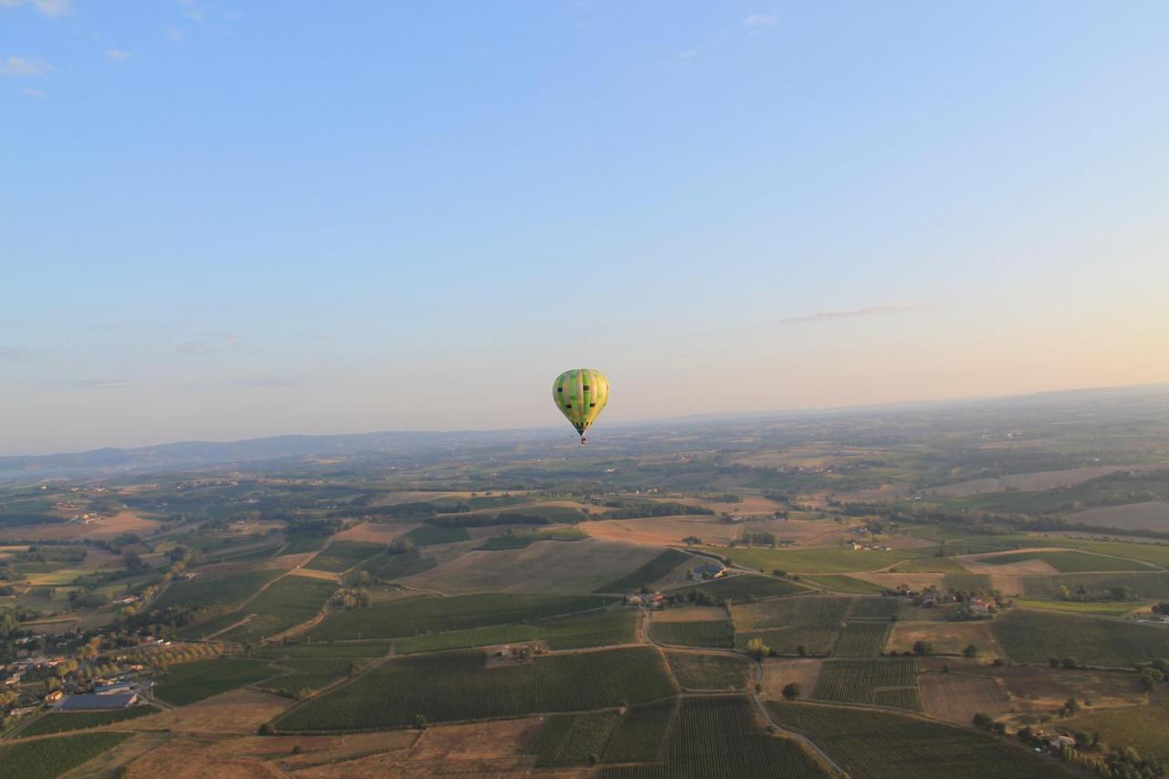 Chateau De Tauzies, The Originals Relais Gaillac Dış mekan fotoğraf
